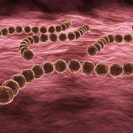Streptococcus pyogenes is a highly infectious pathogenic bacterium, it can cause pharyngitis or more serious diseases such as scarlet fever and rheumatic fever. 3D rendering